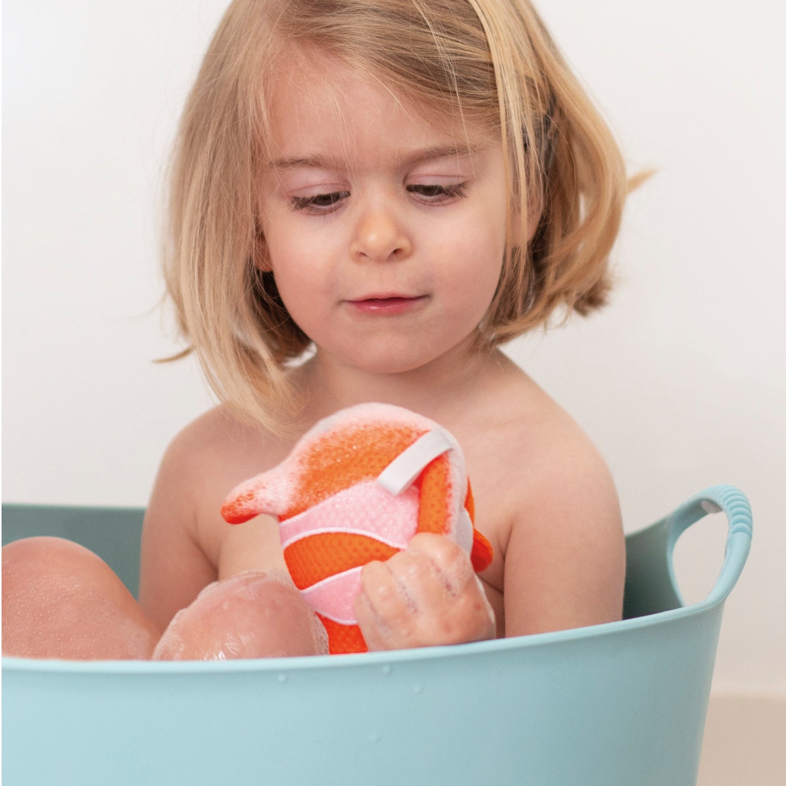 Spugne marine, Compagni di bagno assortite