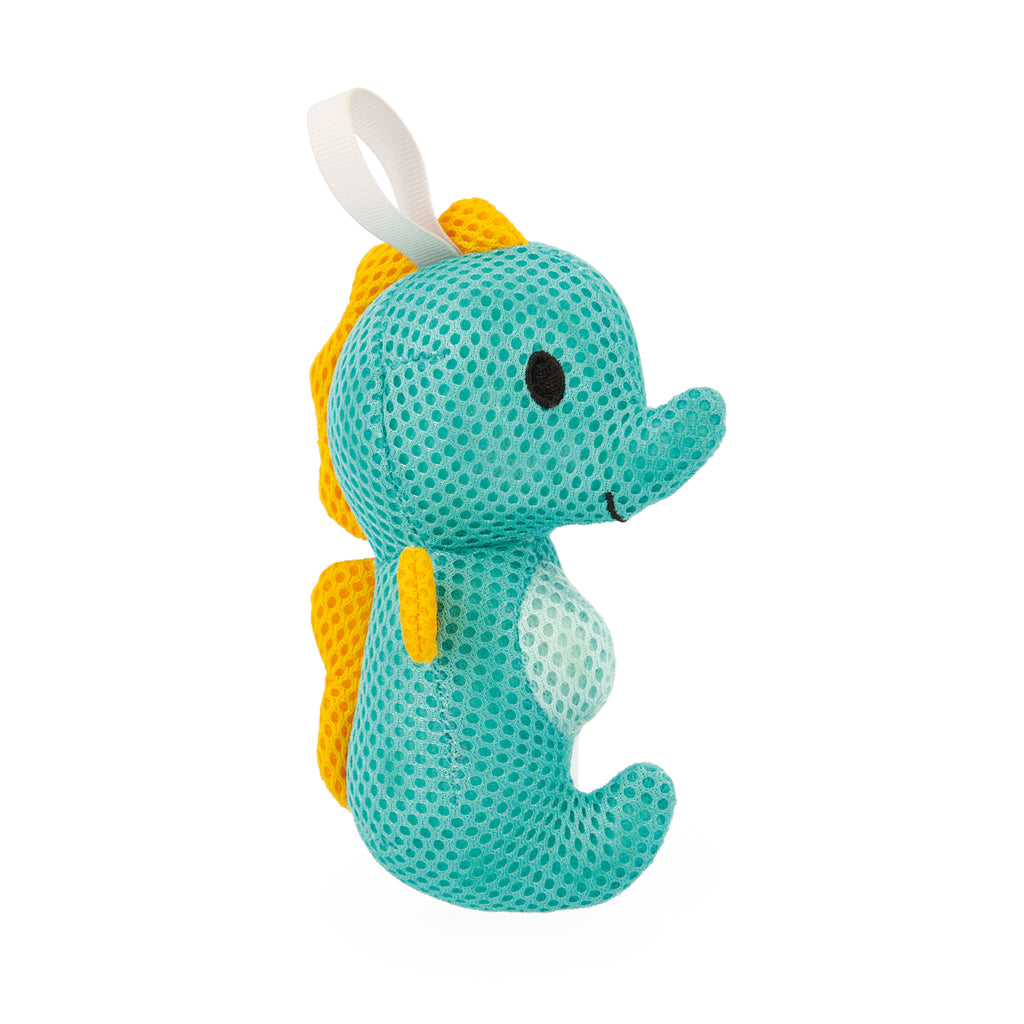 Sea Sponges, Assorted Bathing Companions