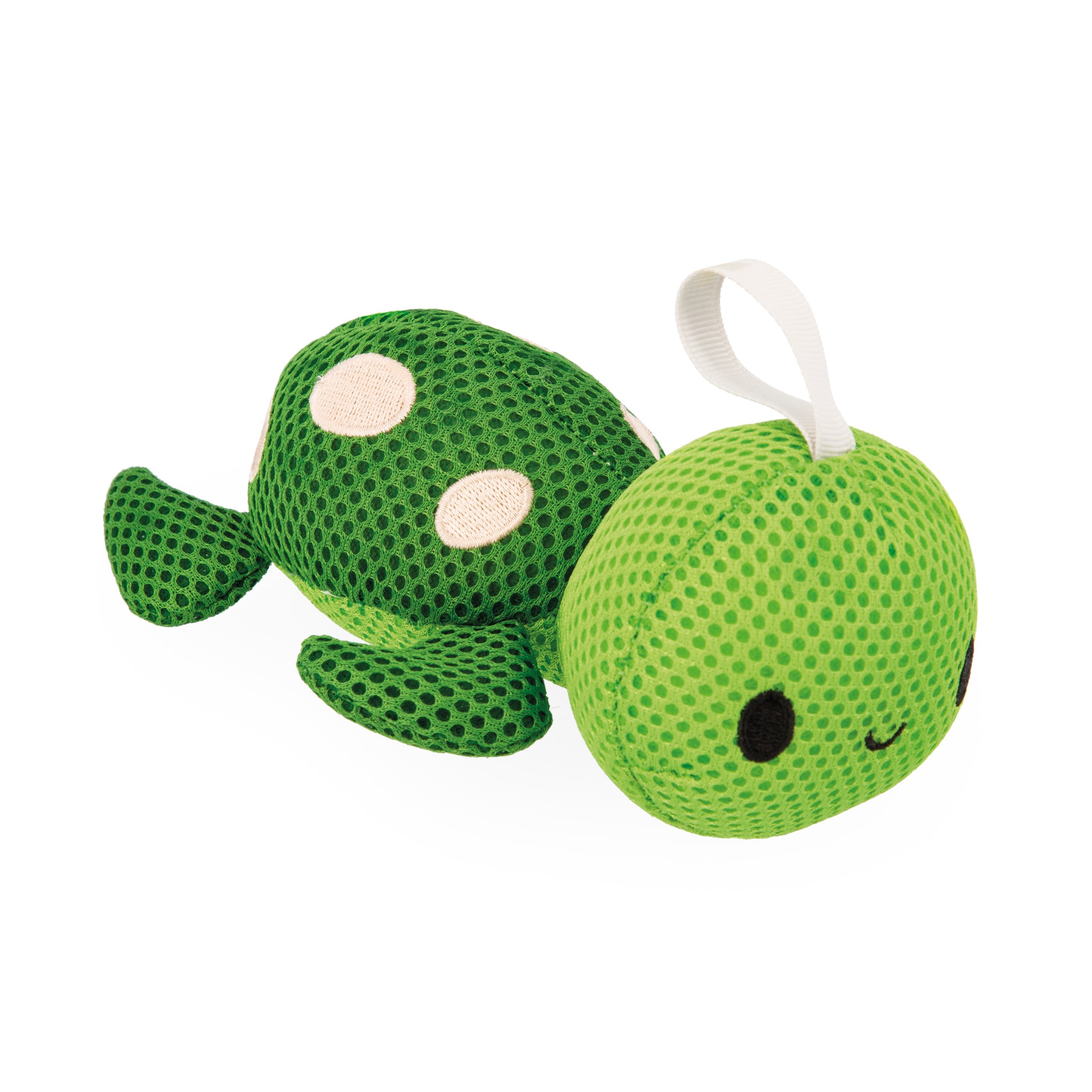 Spugne marine, Compagni di bagno assortite