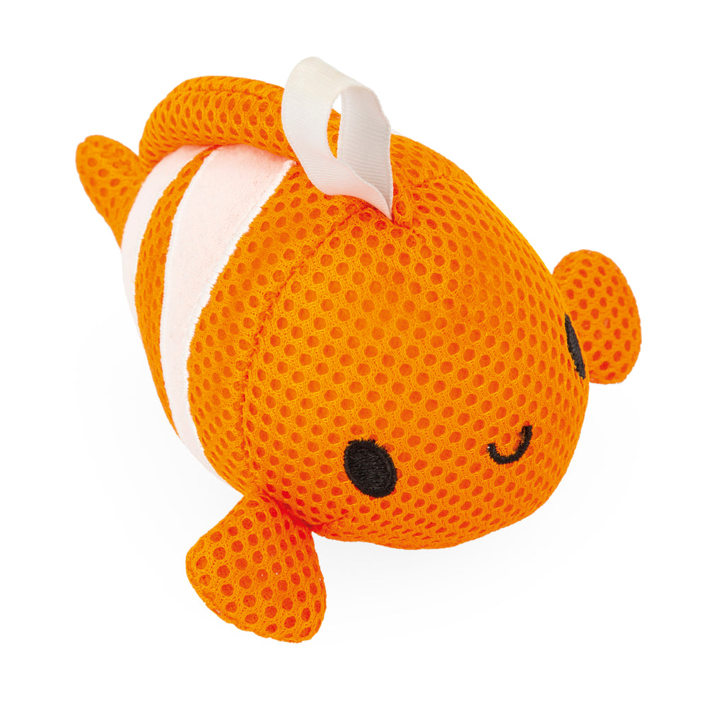 Sea Sponges, Assorted Bathing Companions