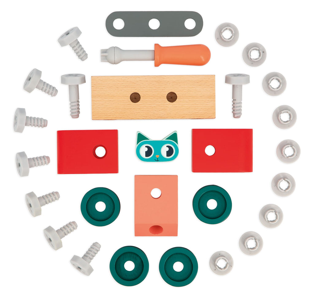 Auto Gatto fai da te Brico'Kids