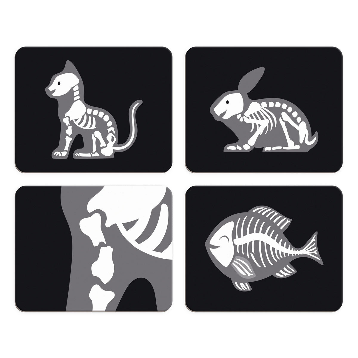 Veterinarian Doctor's Case