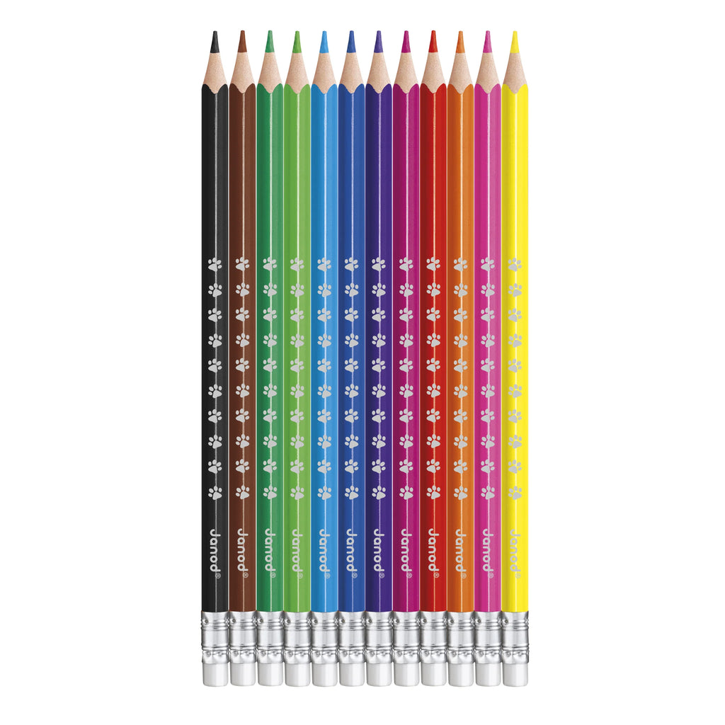 Erasable Coloured Pencils - 12 Colours