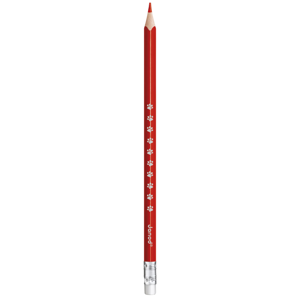 Erasable Coloured Pencils - 12 Colours