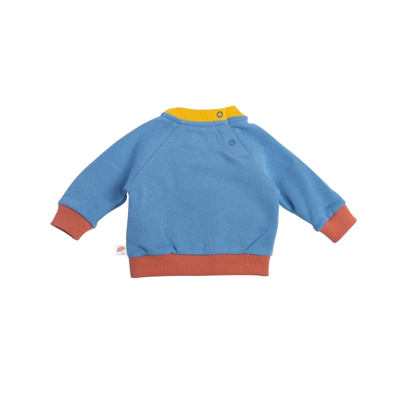 Blue brushed sweatshirt with dogs, Kalvin