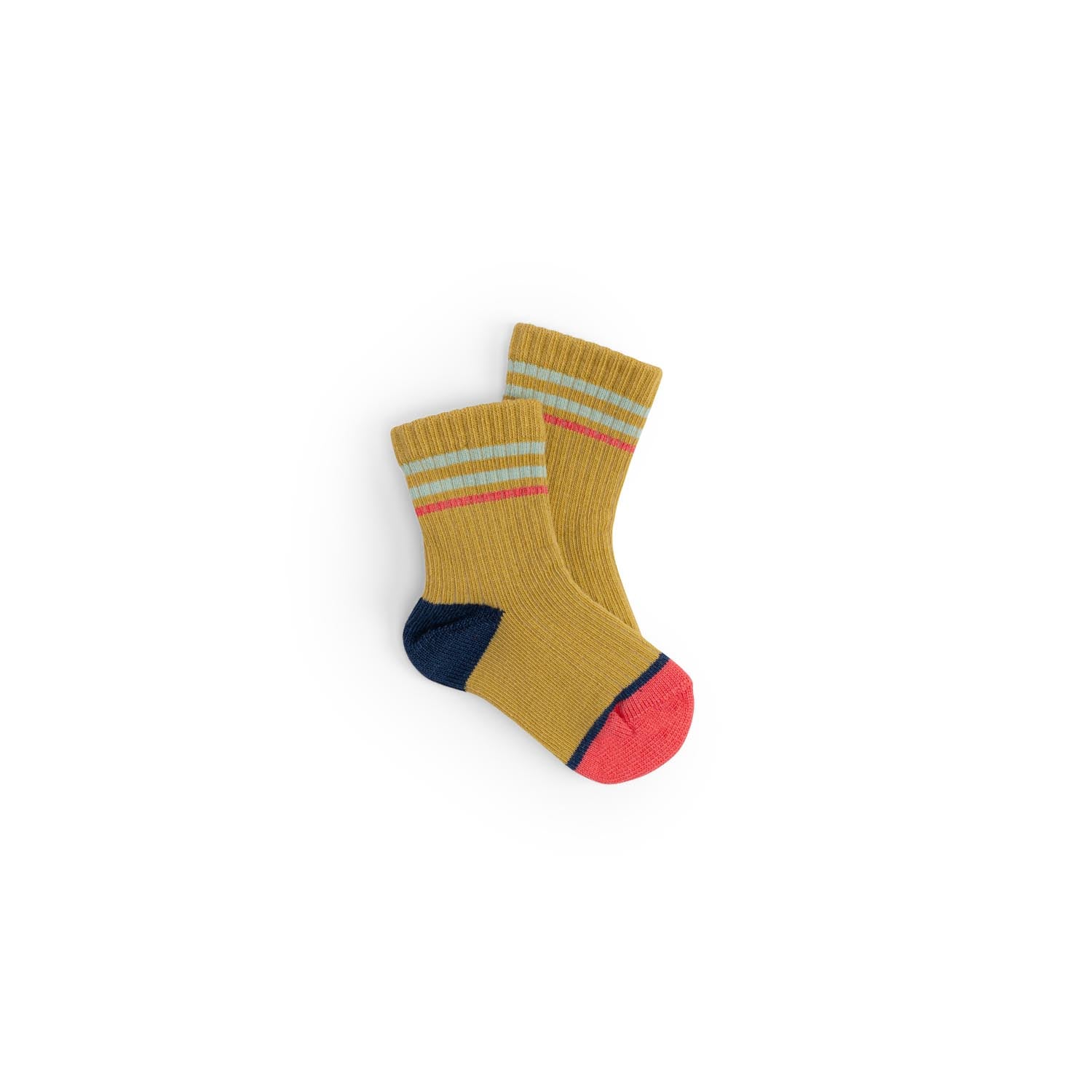 Multicolored ribbed socks, Kevy