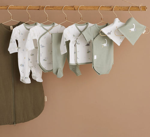 Baby Body Long Sleeve Bamboo Organic Cotton T-Rex, Set of 2