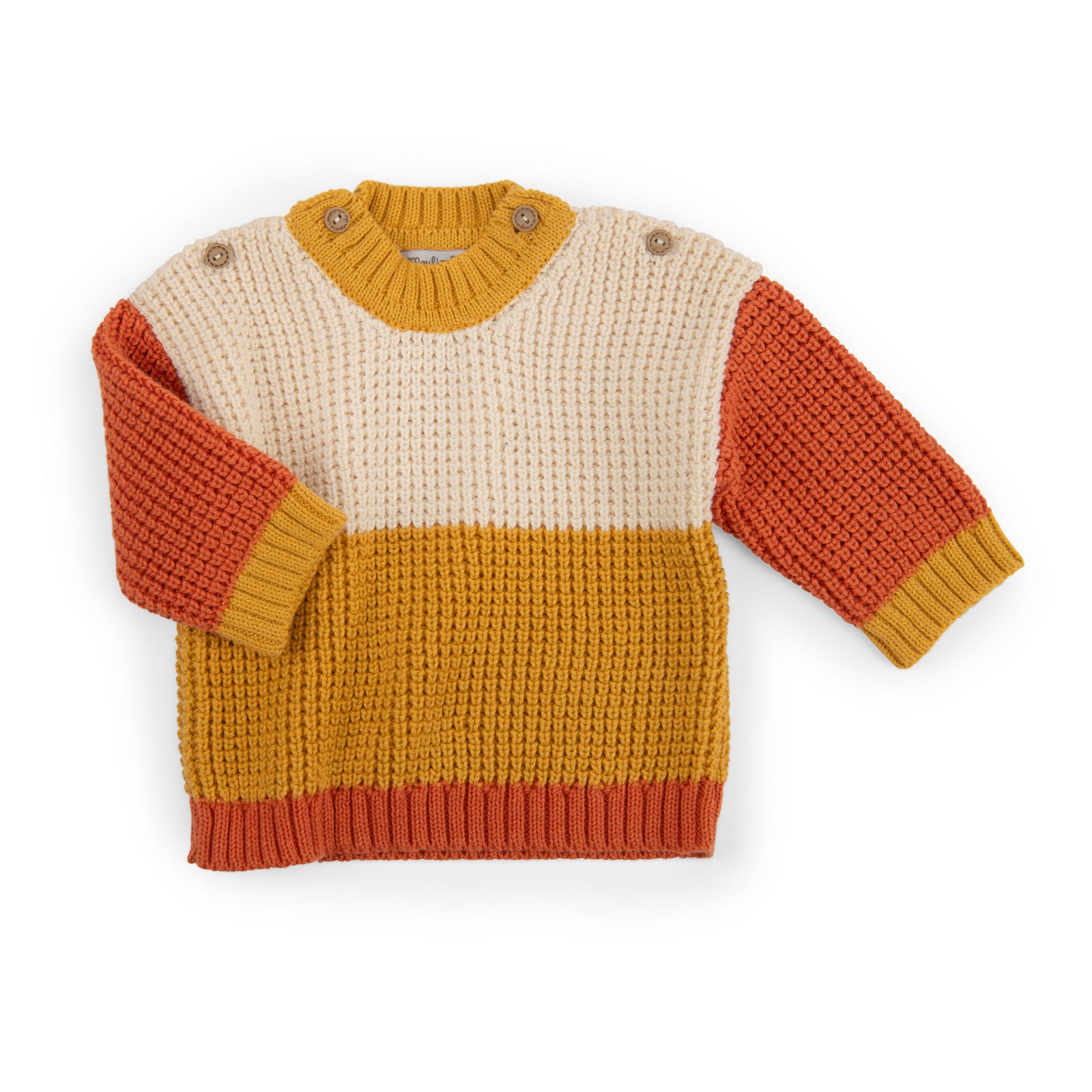 Tricolor cotton knit sweater, Neil