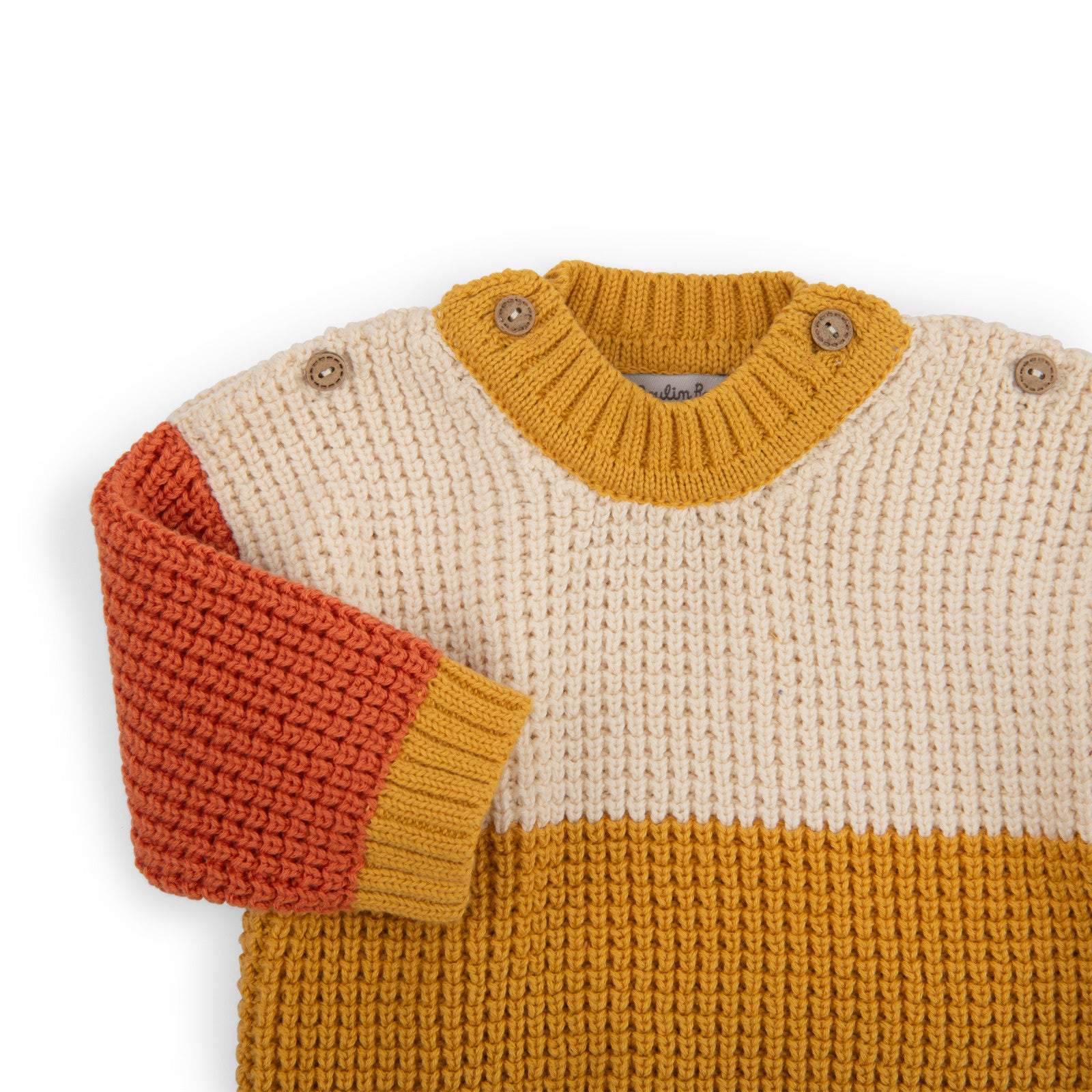 Tricolor cotton knit sweater, Neil