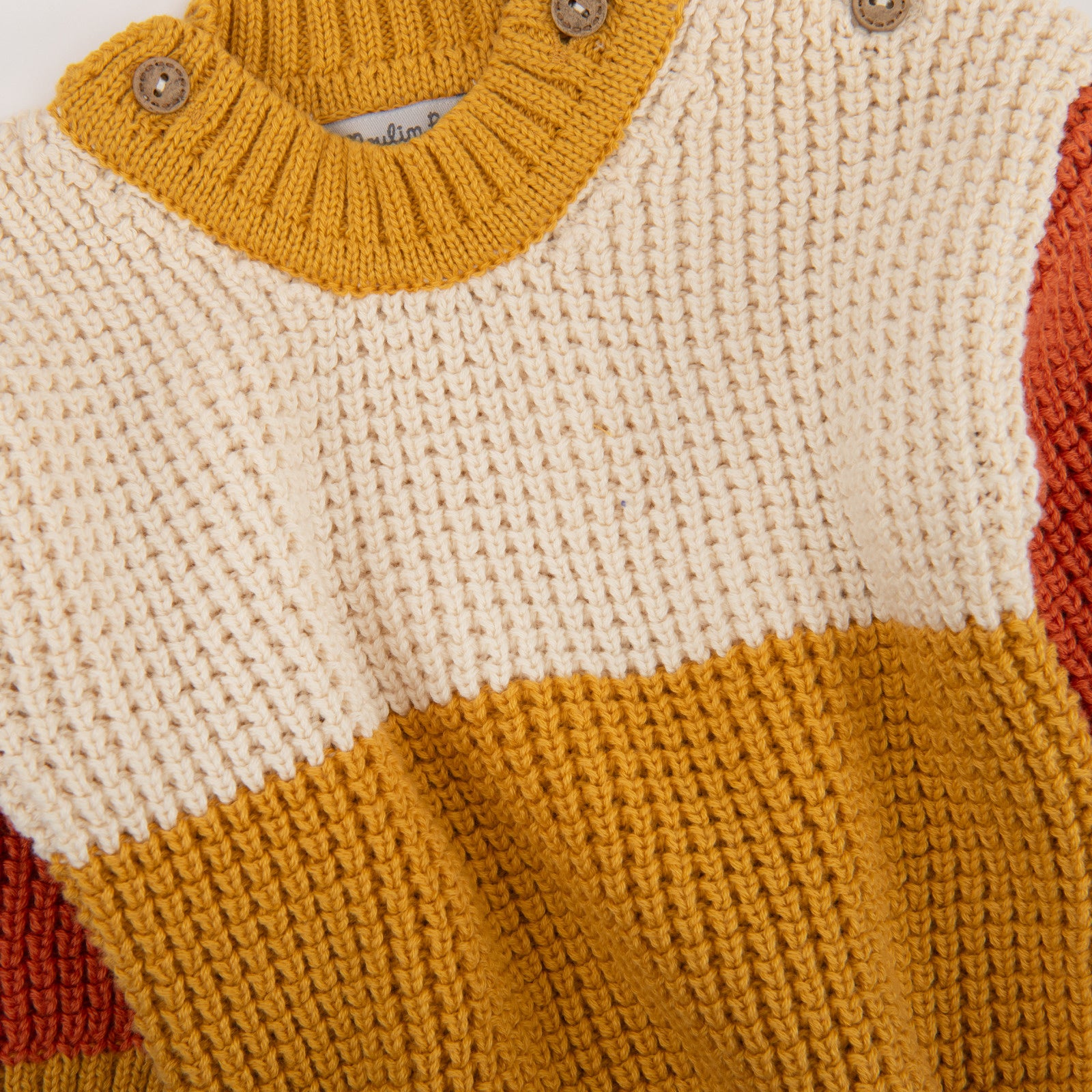 Tricolor cotton knit sweater, Neil