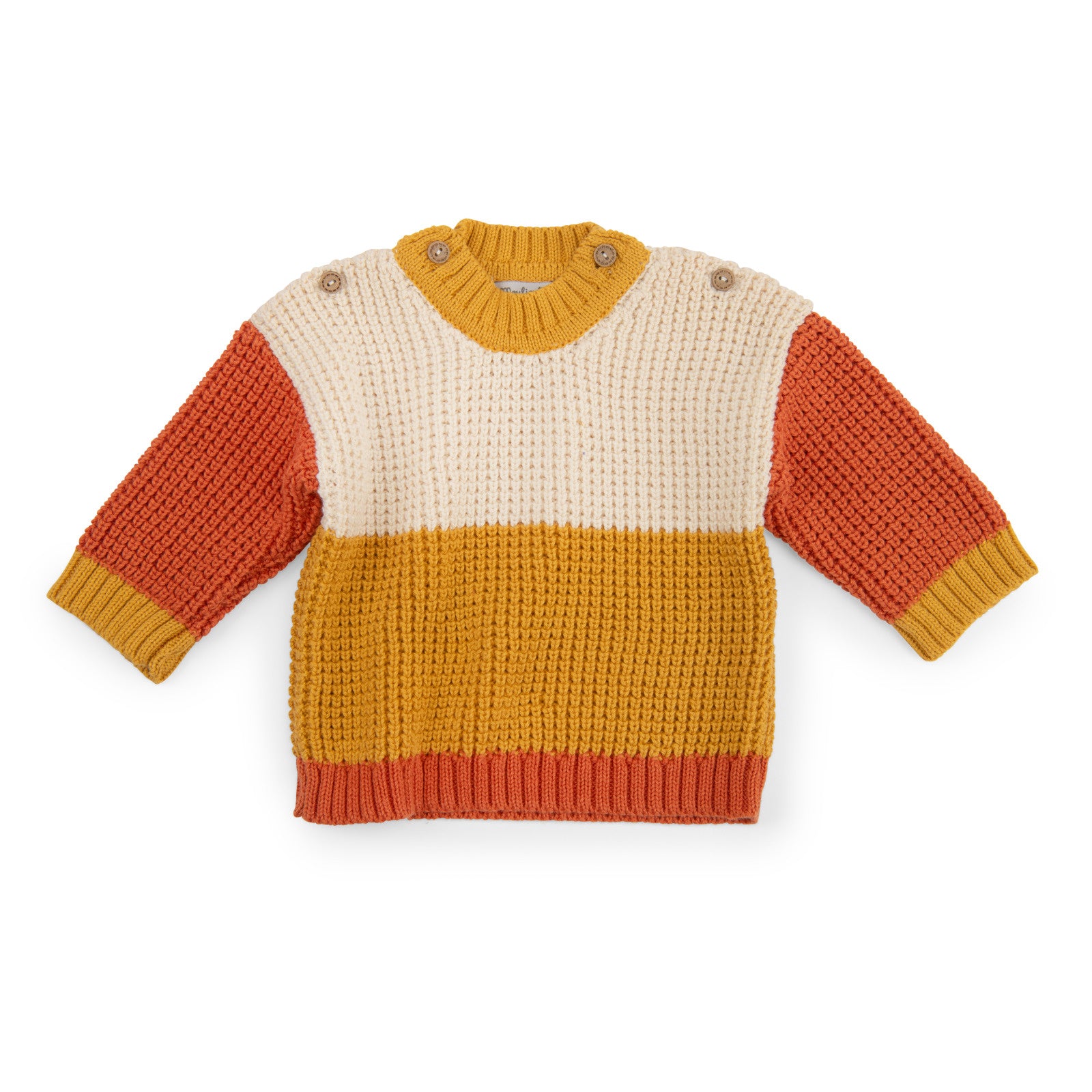 Tricolor cotton knit sweater, Neil