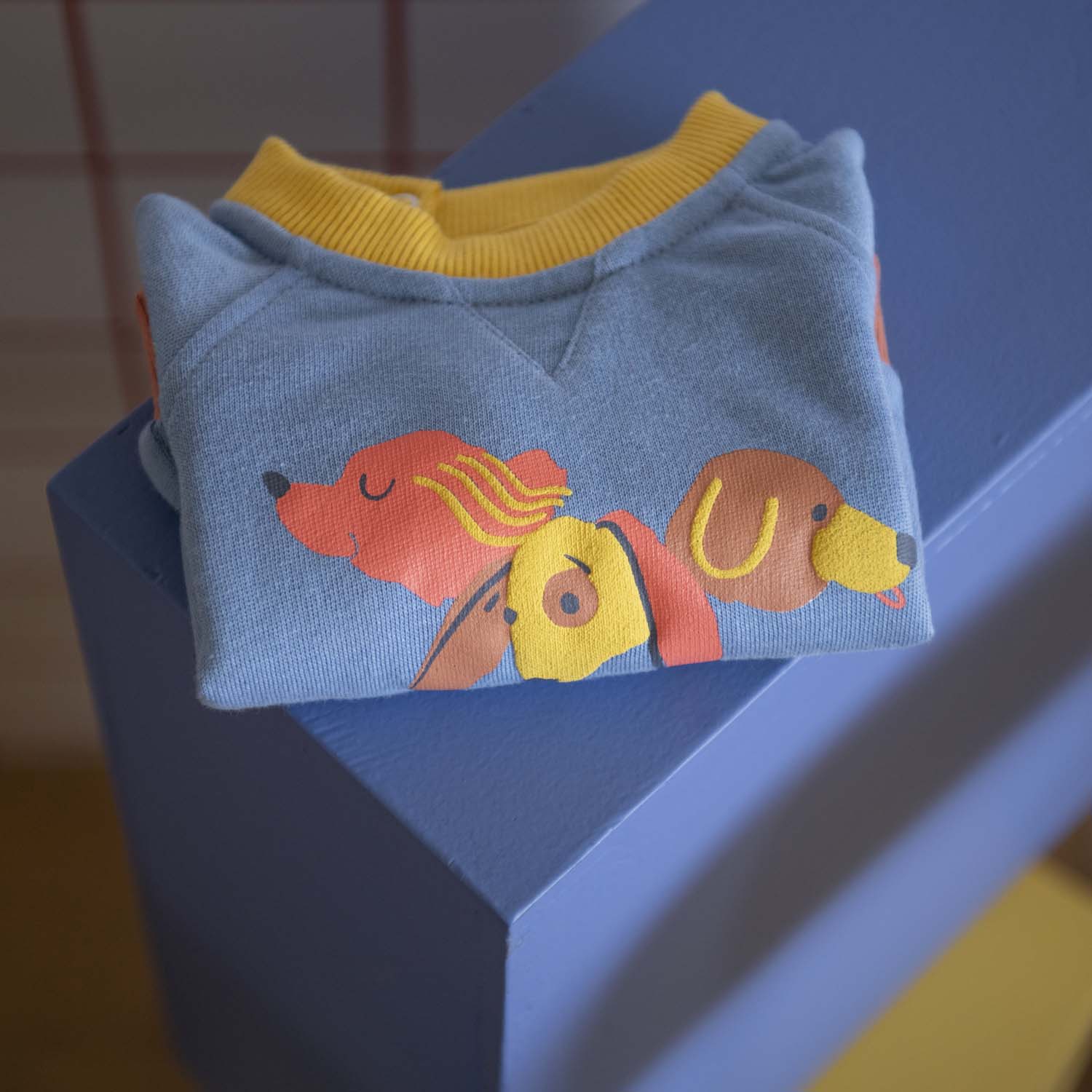 Blue brushed sweatshirt with dogs, Kalvin