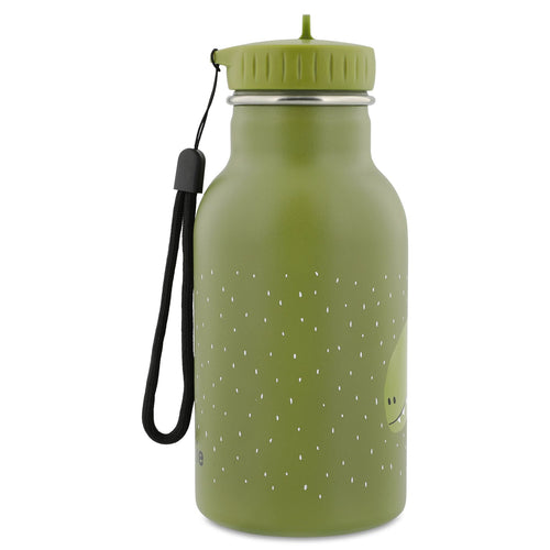 Stainless Steel Thermal Water Bottle 350ml, Dinosaur