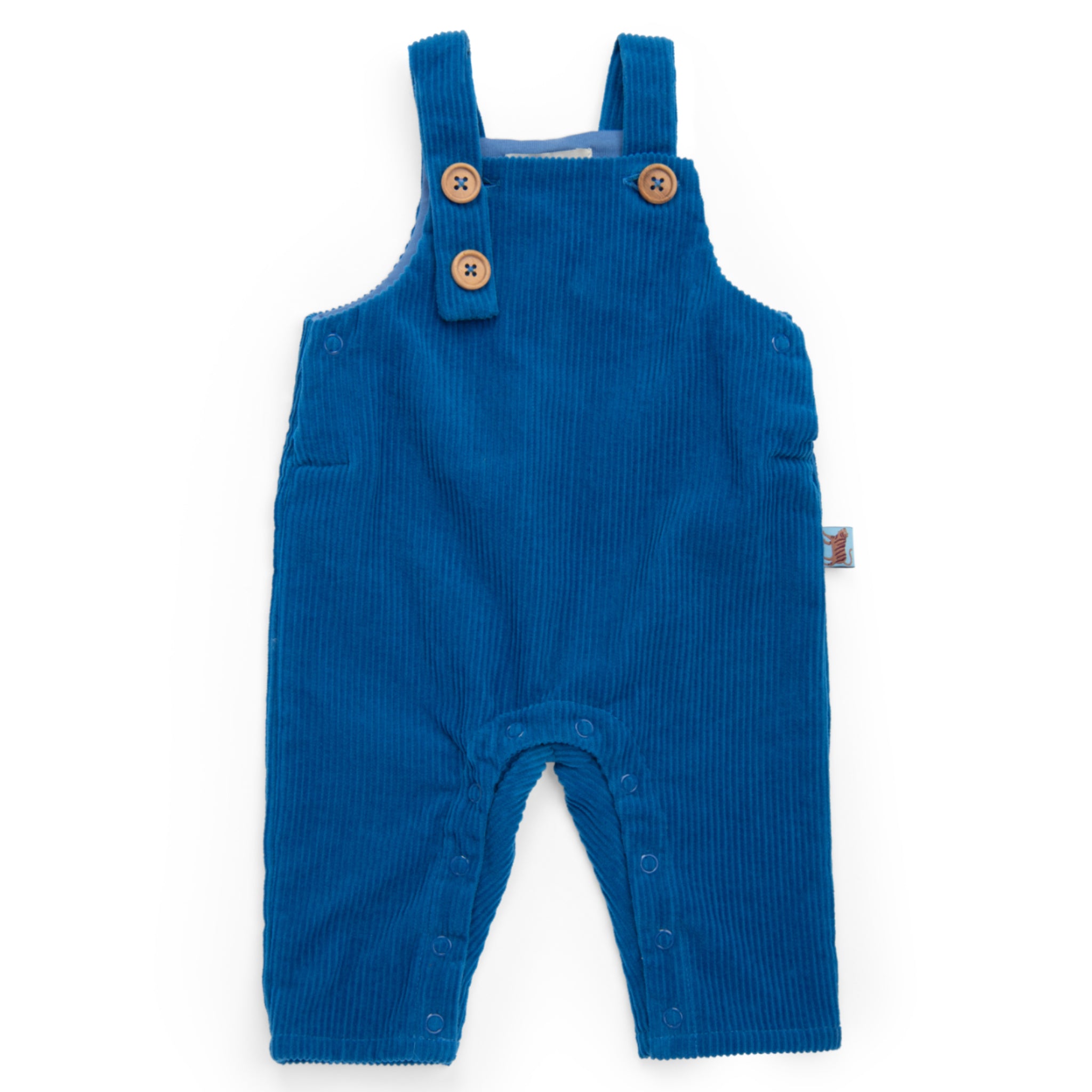 Dungarees in blue corduroy, Maxence