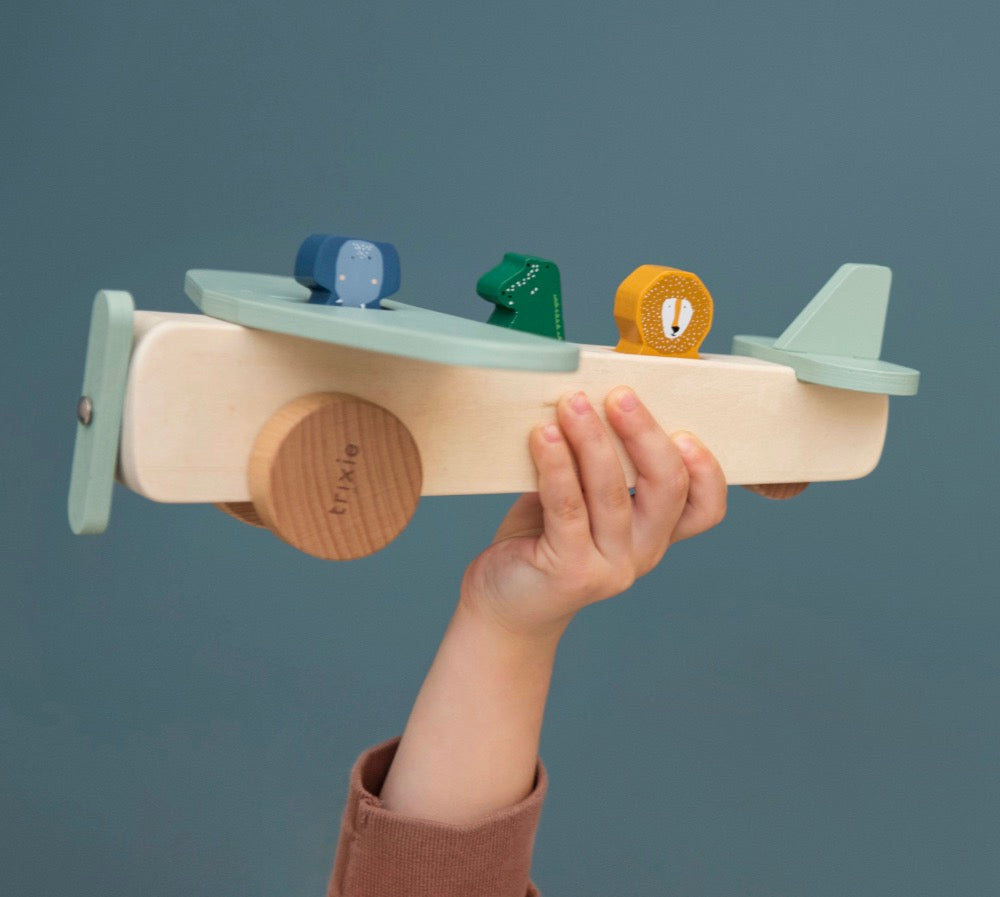 Aereo in legno con animali