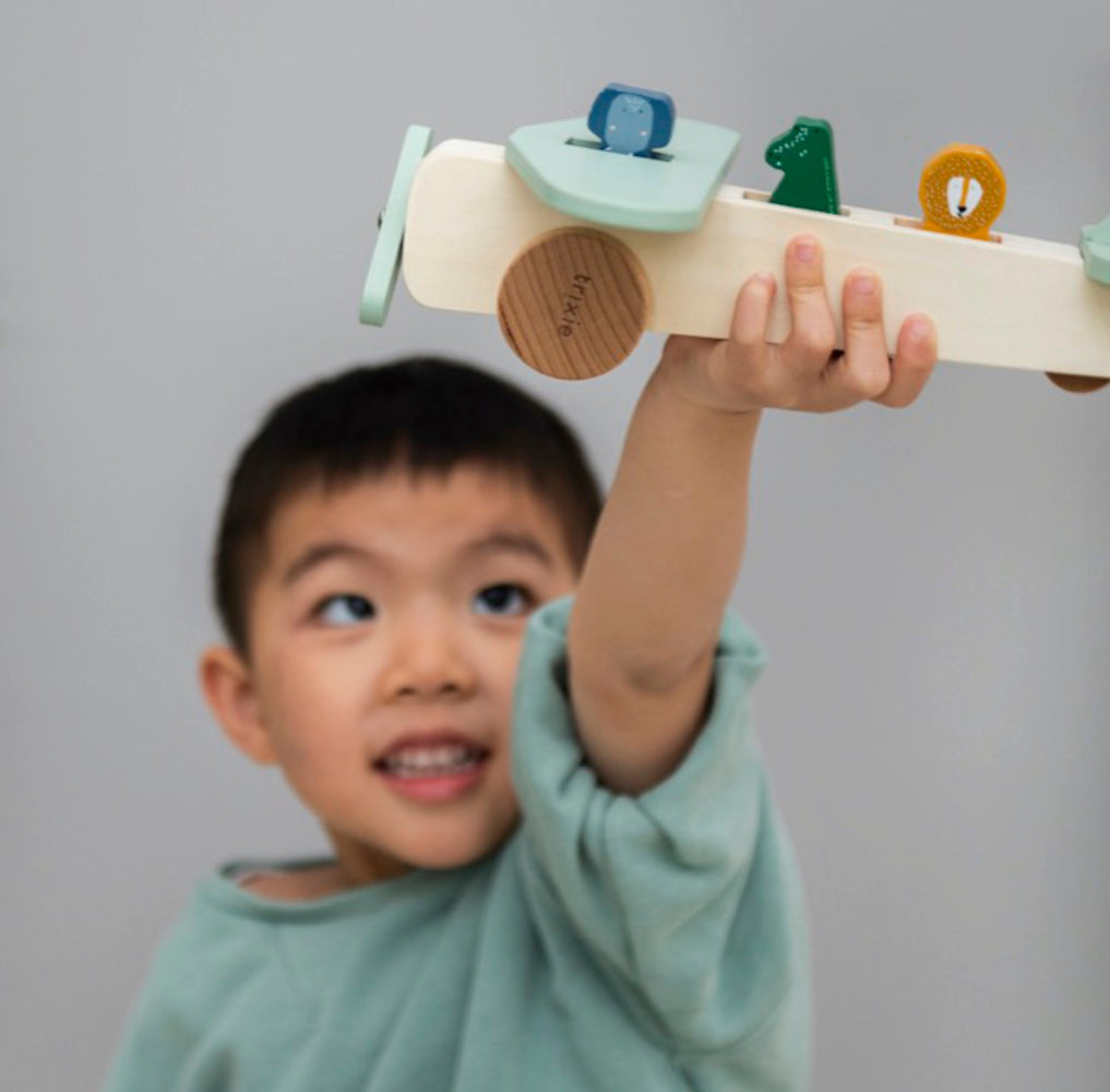 Aereo in legno con animali