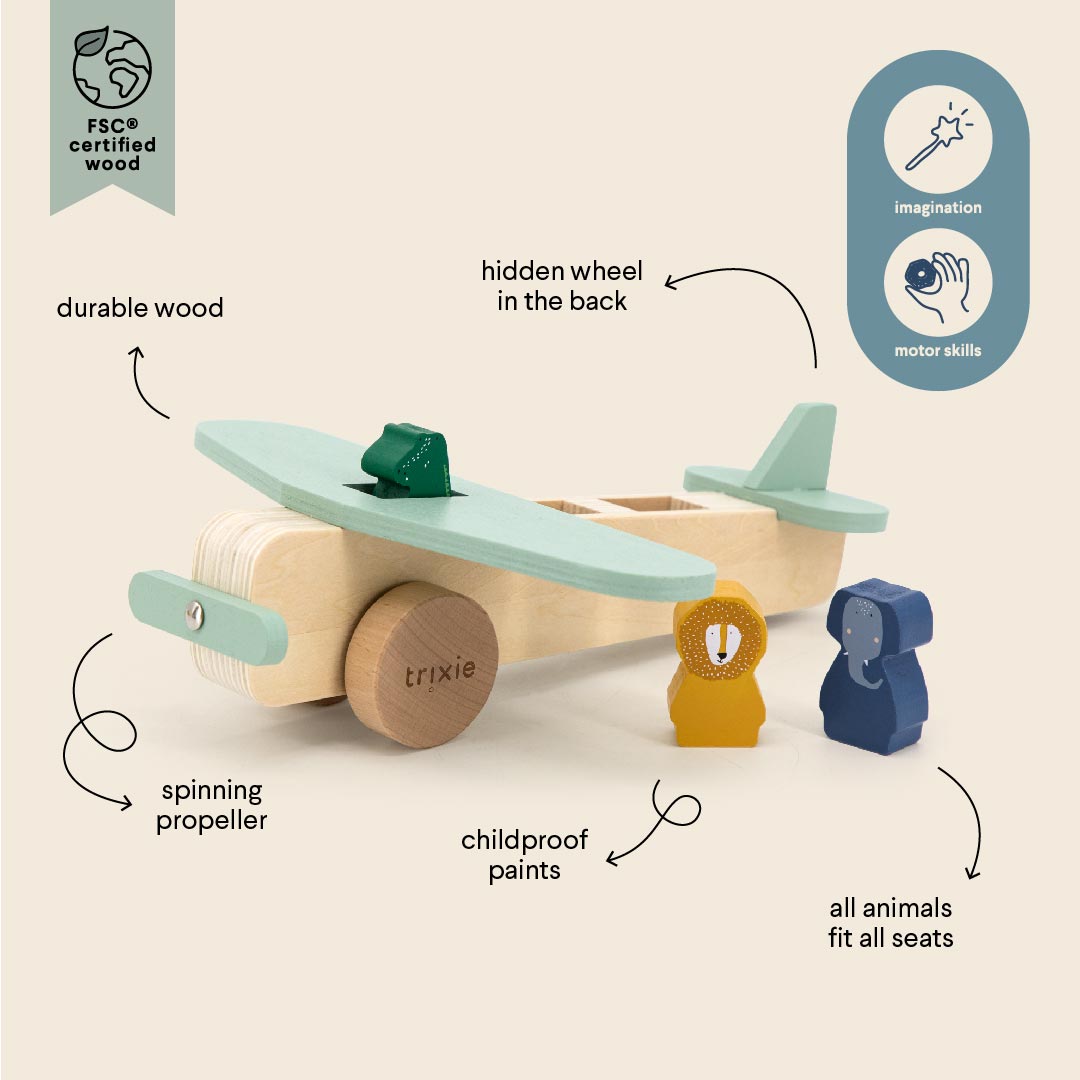Aereo in legno con animali