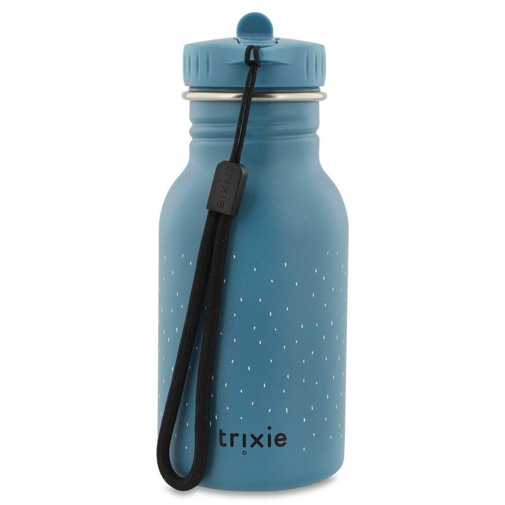 Stainless Steel Water Bottle 350ml, Triceratops