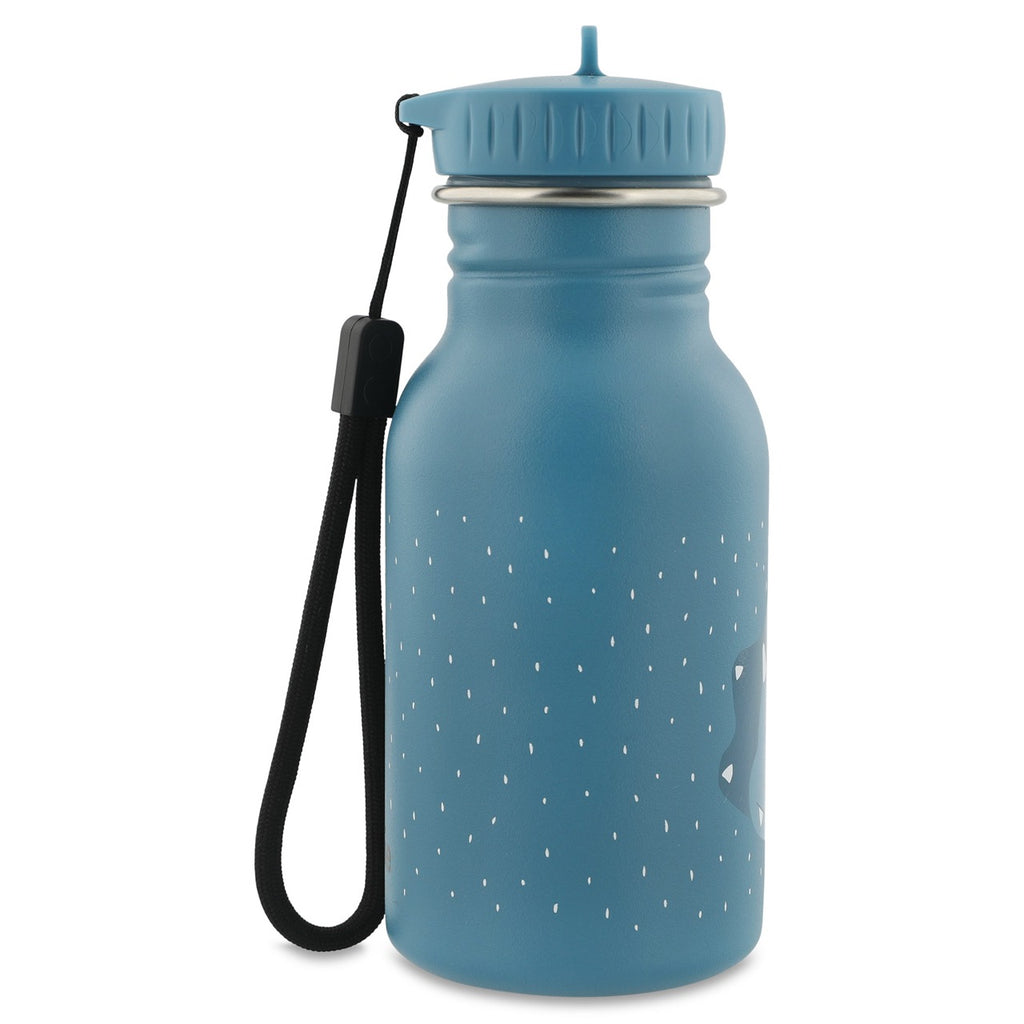 Stainless Steel Water Bottle 350ml, Triceratops