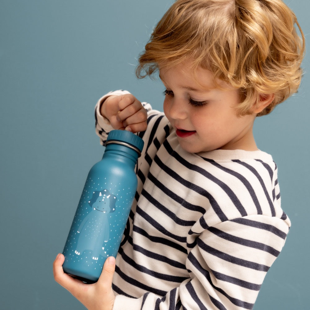 Stainless Steel Water Bottle 350ml, Triceratops