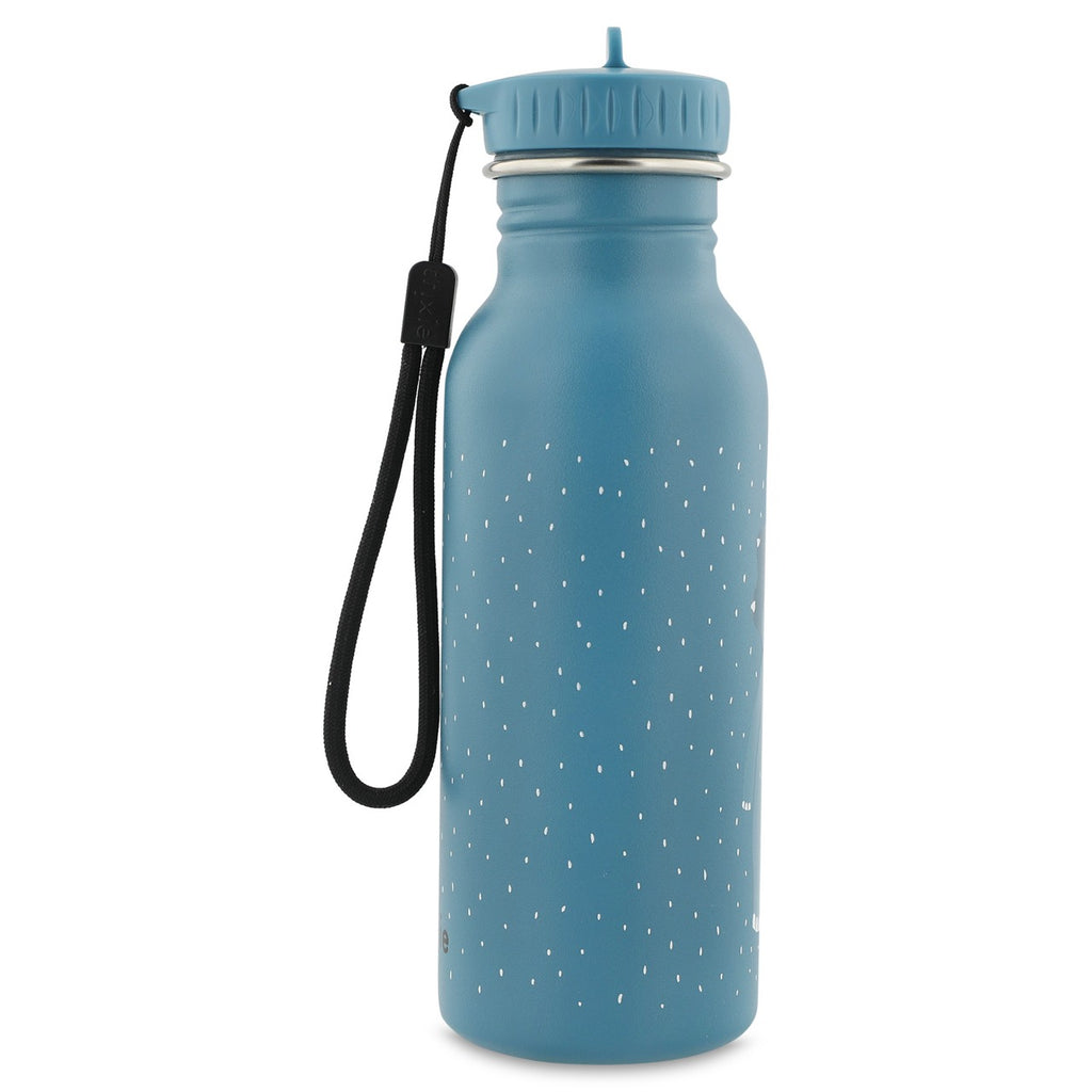 Stainless Steel Water Bottle 500ml, Triceratops