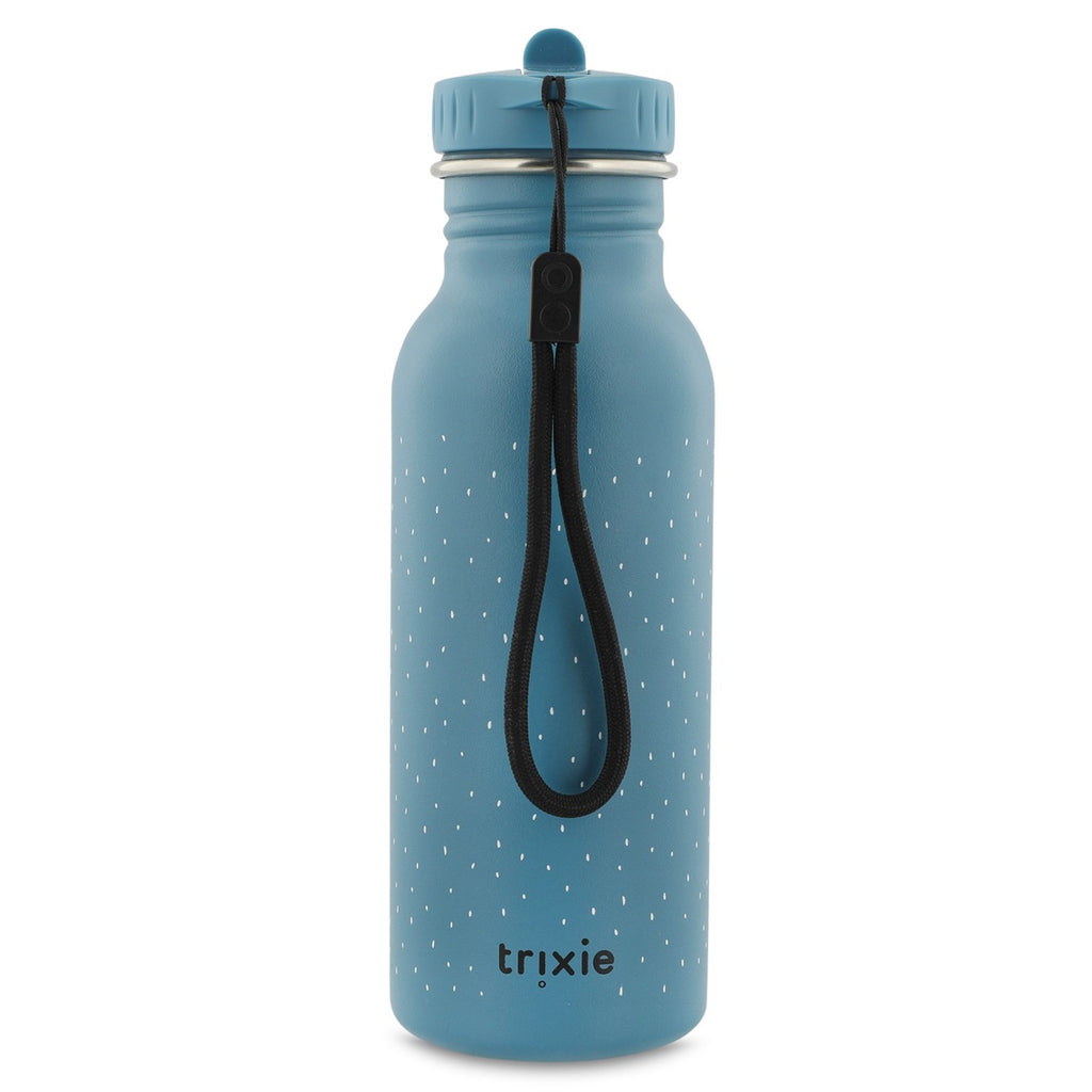 Stainless Steel Water Bottle 500ml, Triceratops
