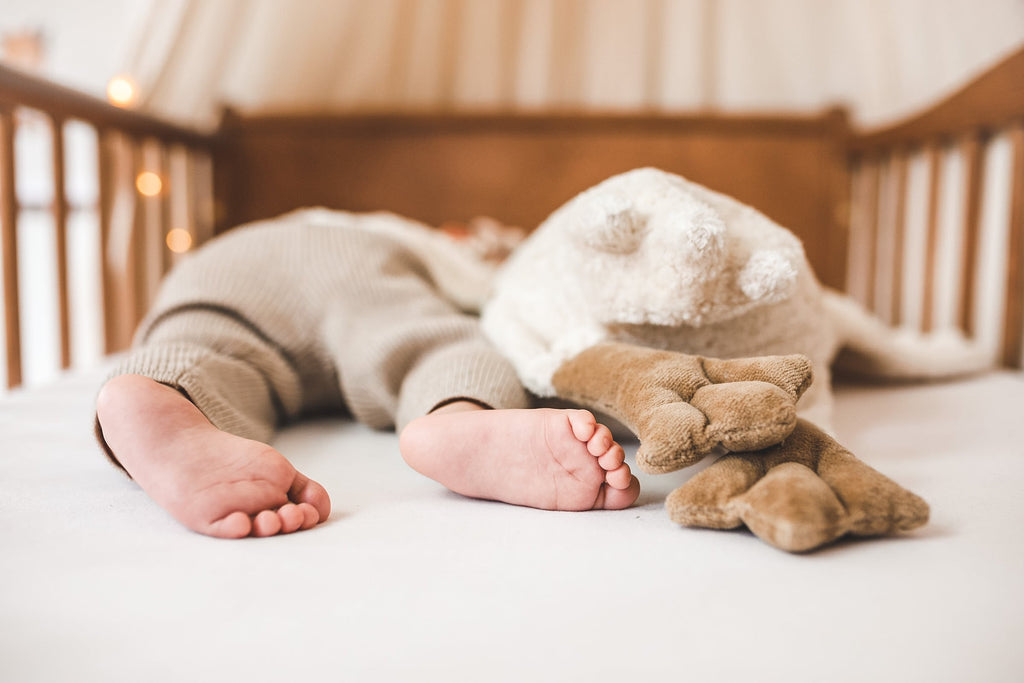 Peluche cuscino termico Oca grande - bianco | Senger Naturwelt