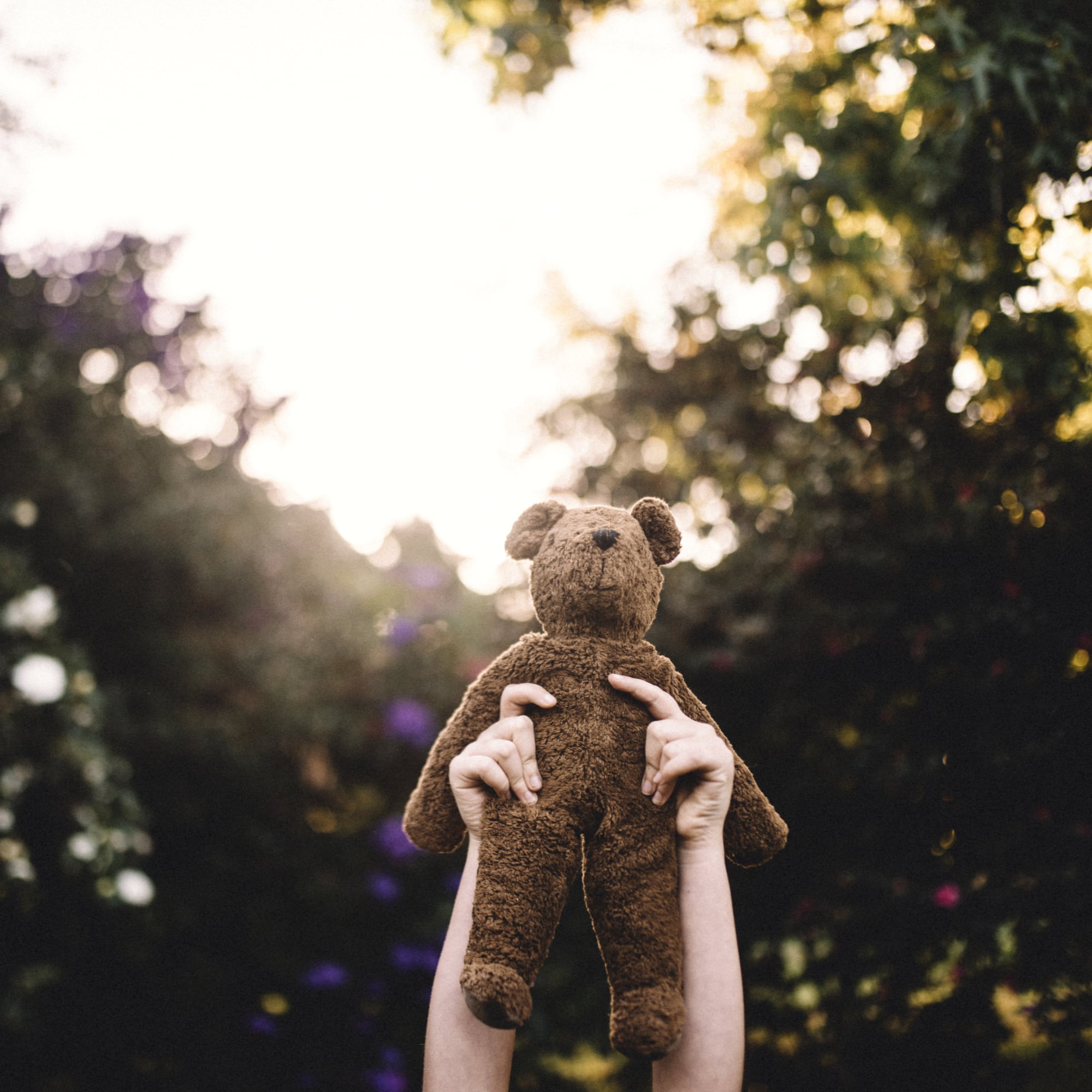 Pupazzo grande in cotone bio Orso | Senger naturwelt