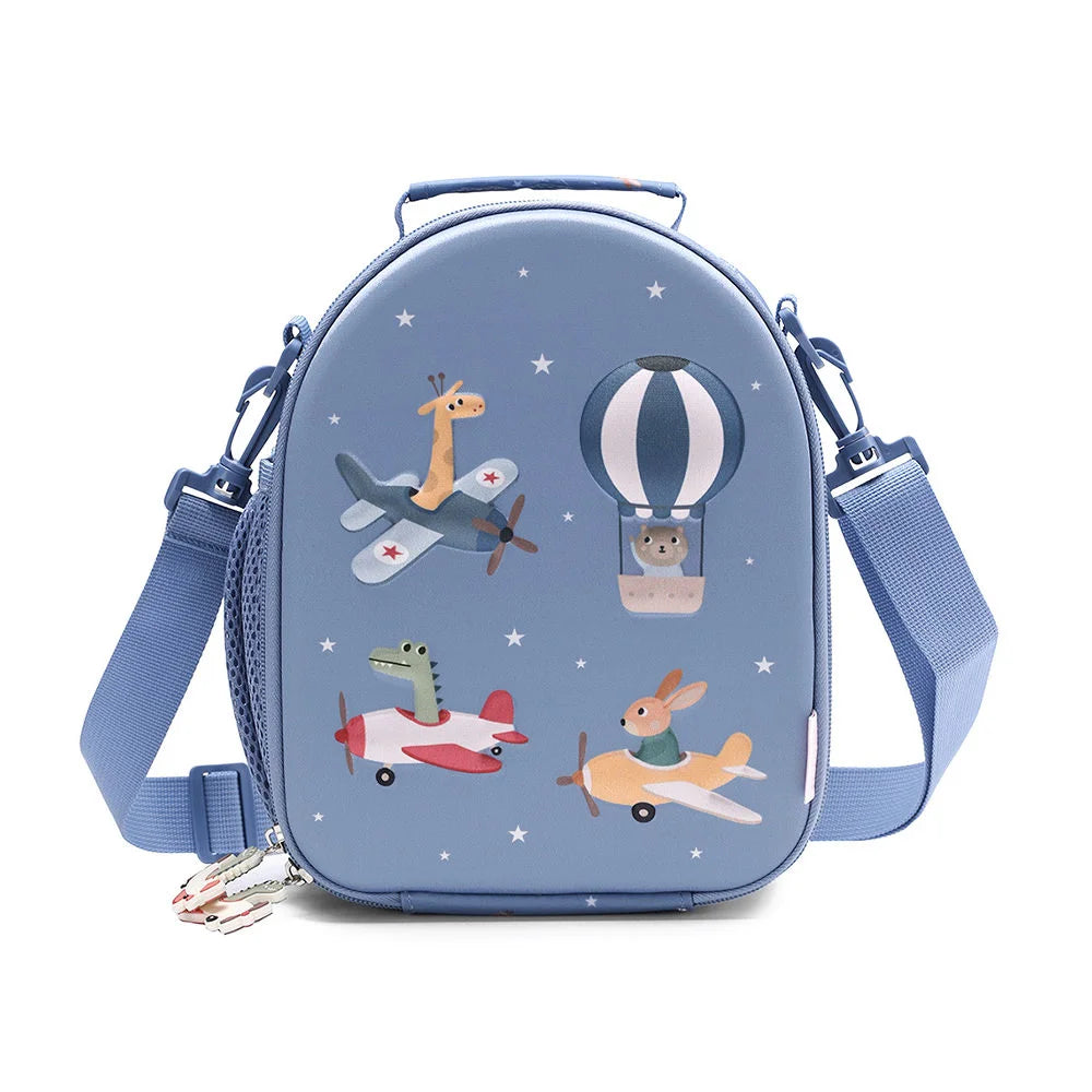 Borsa termica, Aerei