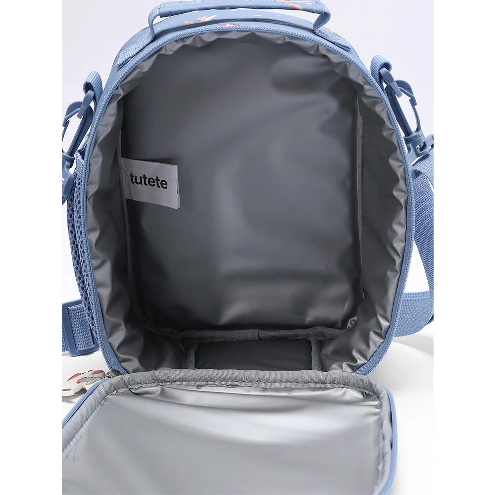 Borsa termica, Aerei