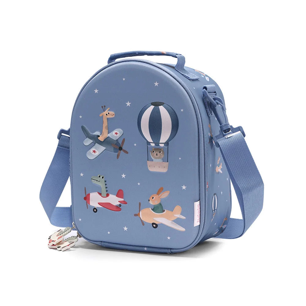 Borsa termica, Aerei