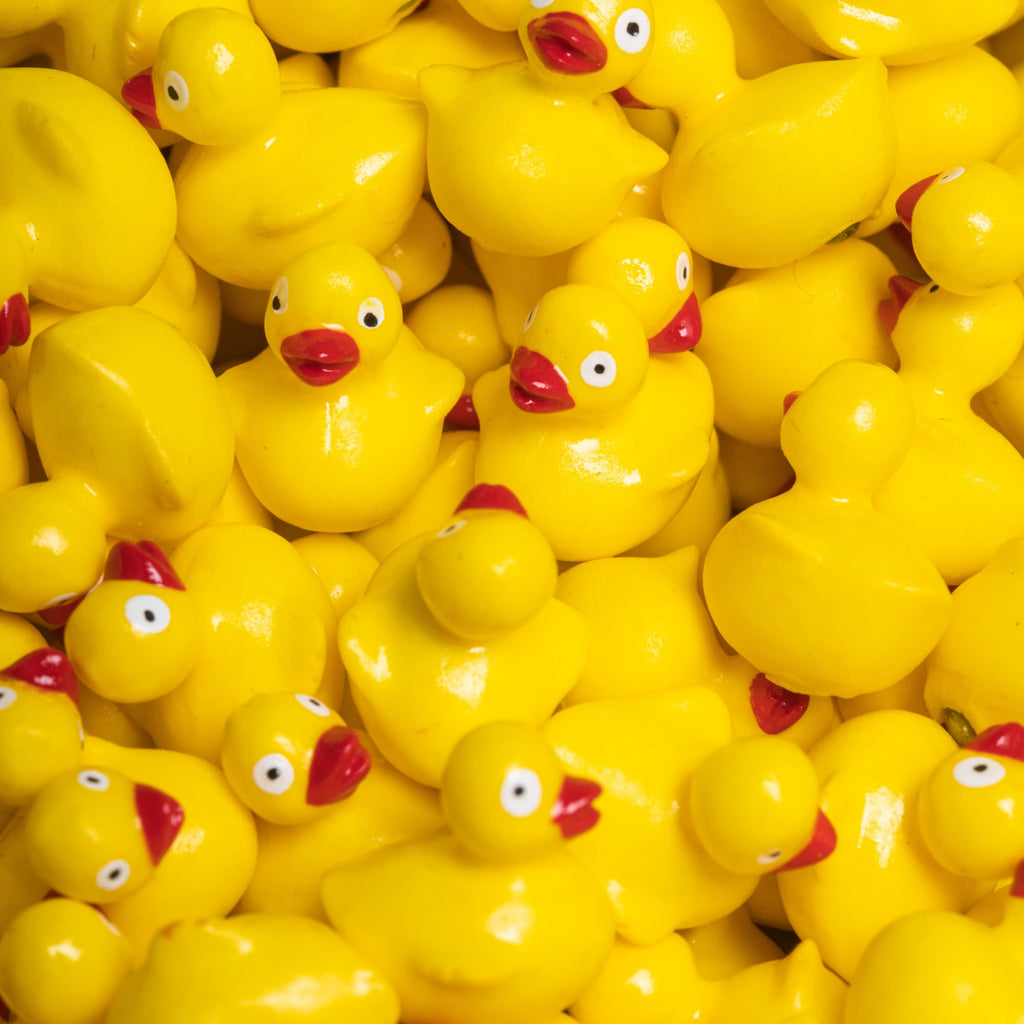 Bottiglia sensoriale Move Ducky