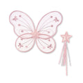Fairy wings and magic wand