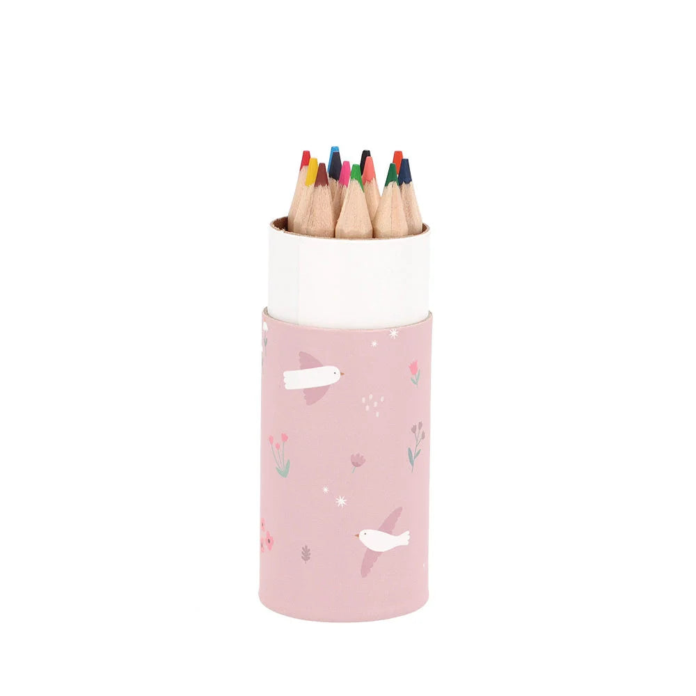 Tubo 12 matite piccole colorate, Uccellini