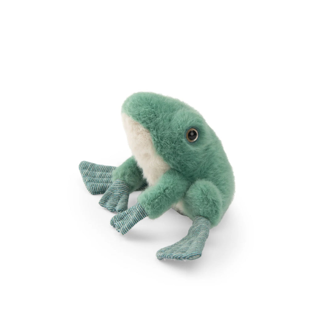 Frog Soft Toy
