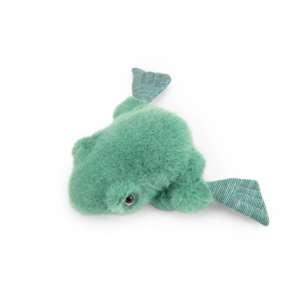 Frog Soft Toy