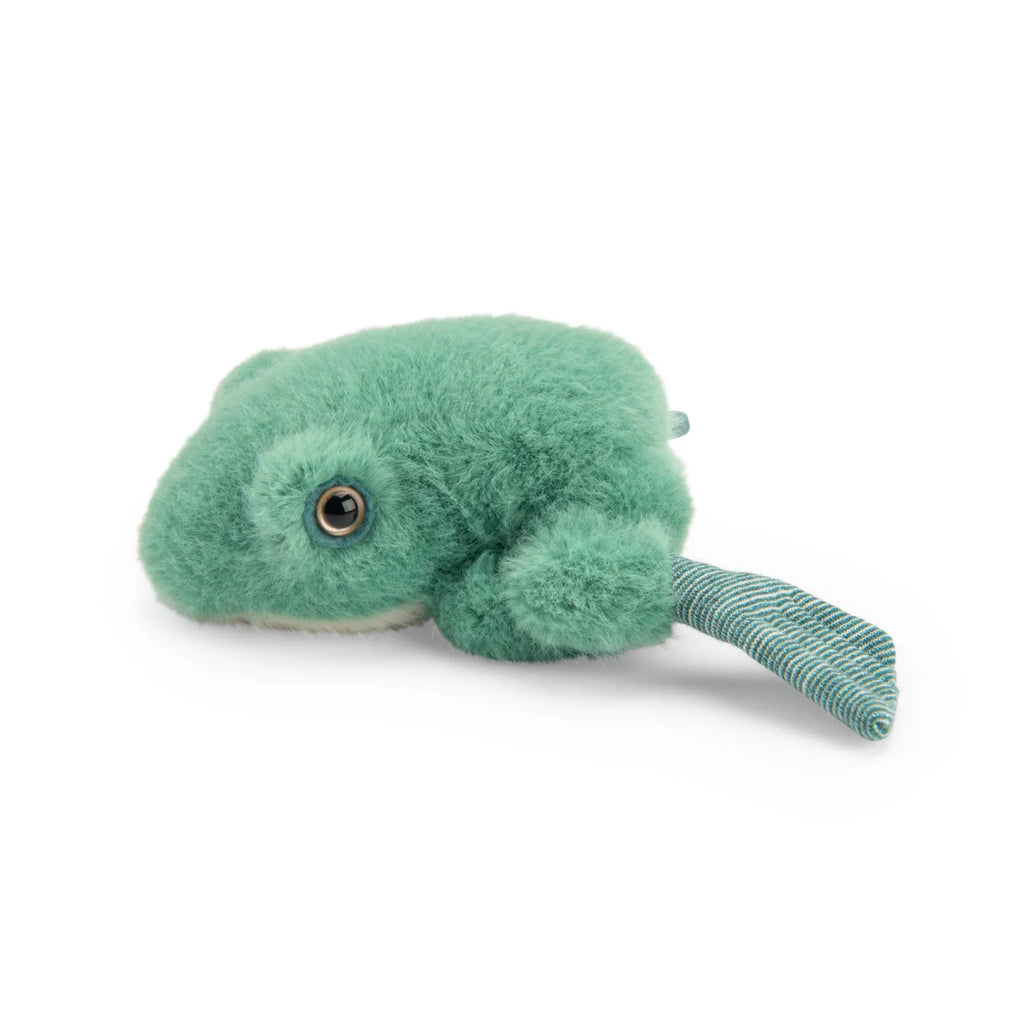 Frog Soft Toy