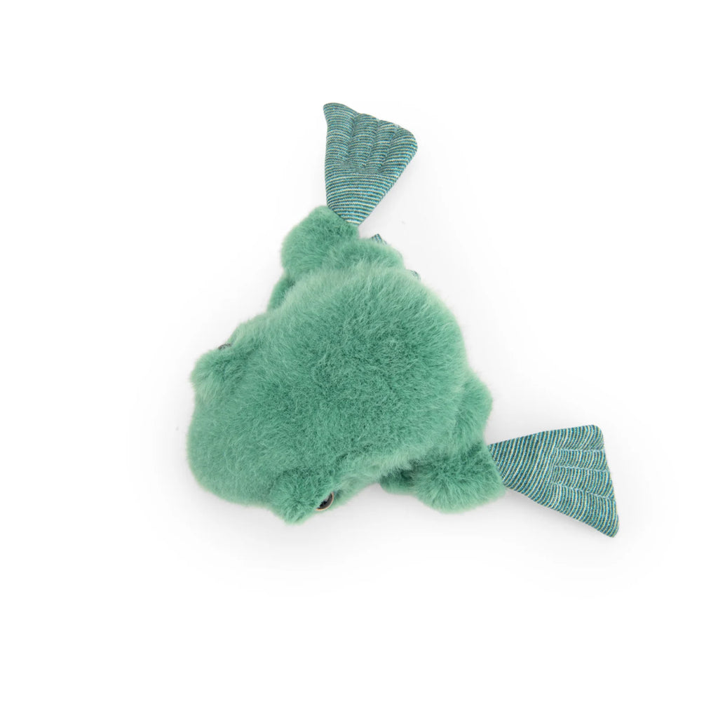Frog Soft Toy