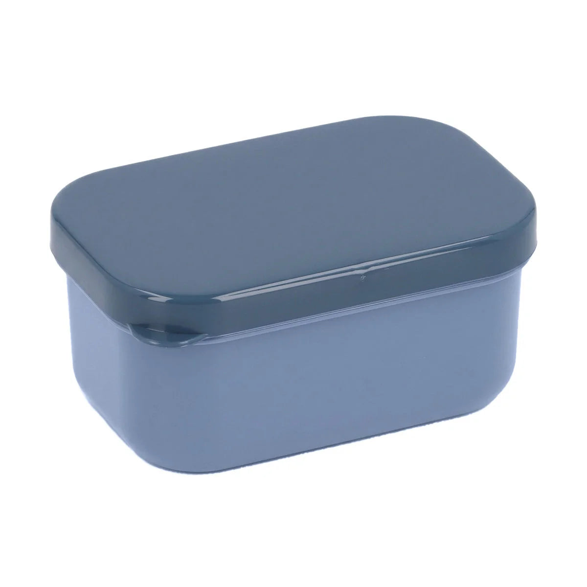 Boîte à bento grand format, Avions