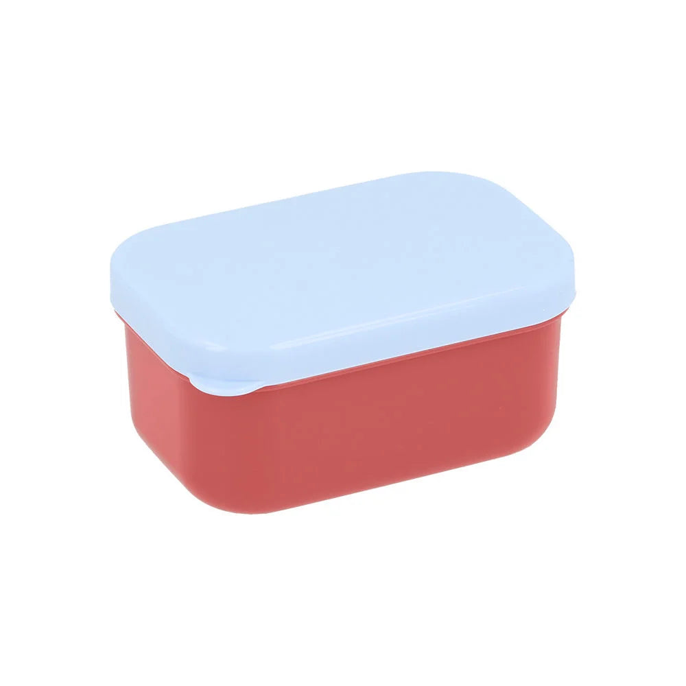 Large Bento Lunch Box, Circus