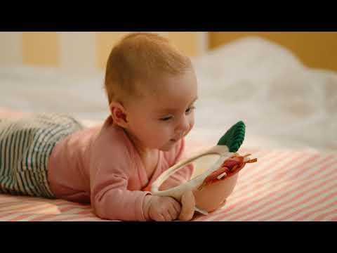 Jack the Lion Activity Mirror