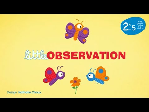 Gioco da tavolo Little Observation