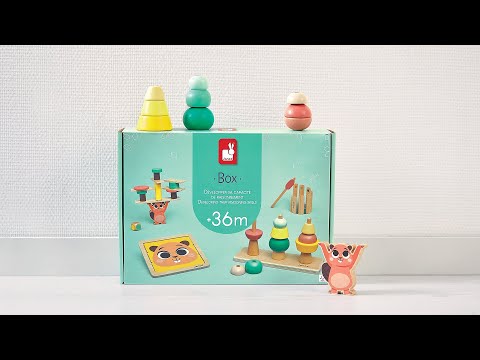Janod box, Wooden toys for 36 months - Reasoning ability