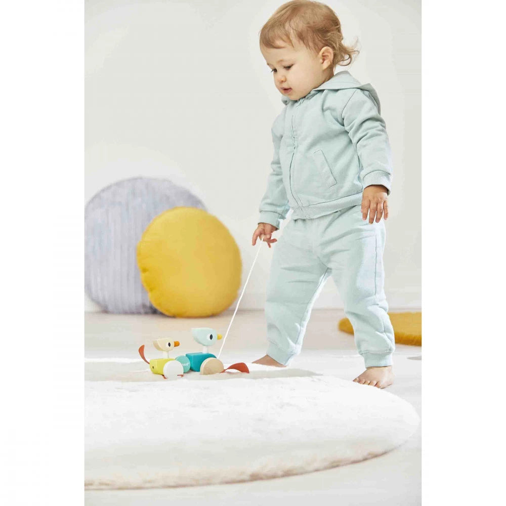 Anatre da tirare in legno