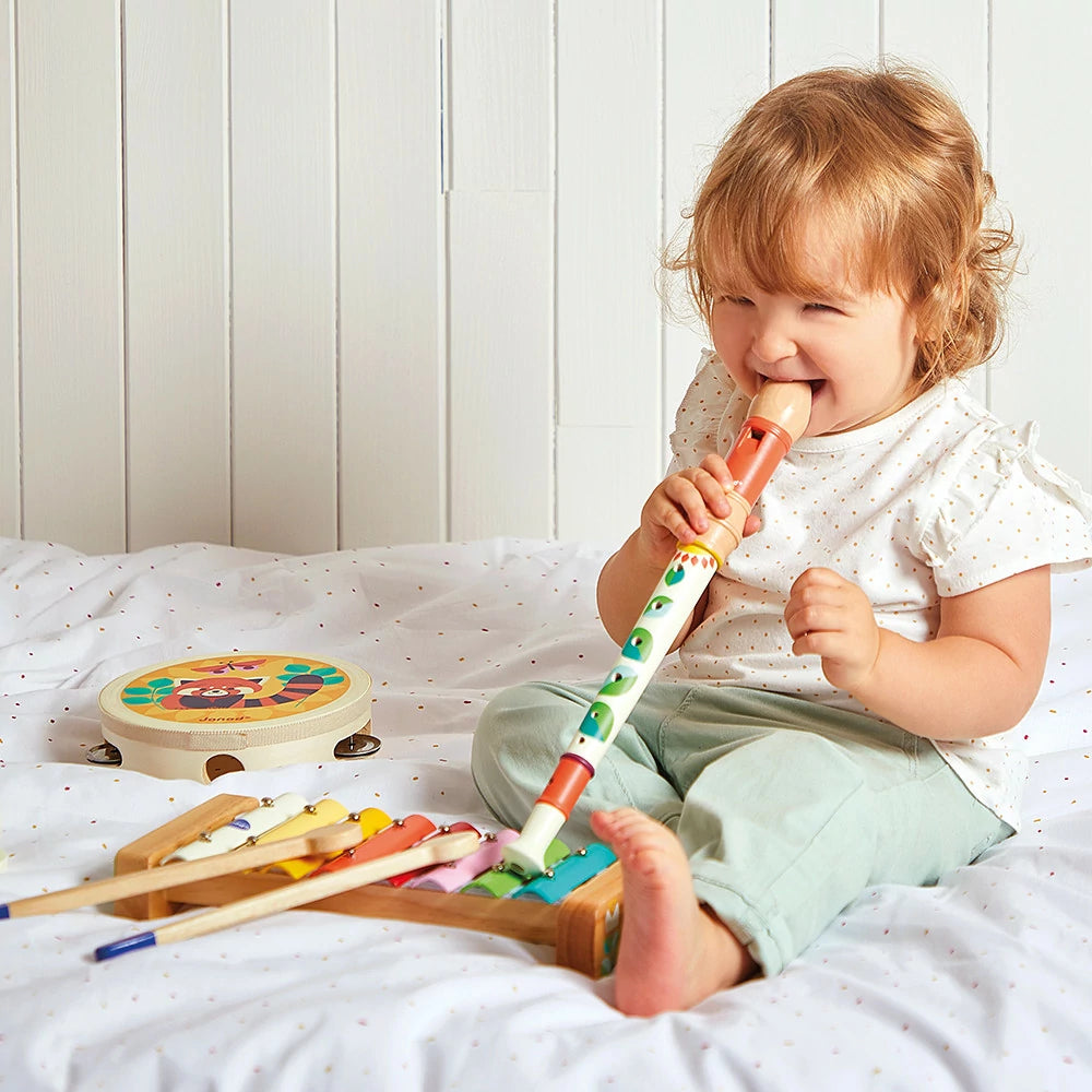 Musical Instruments Set - Gioia