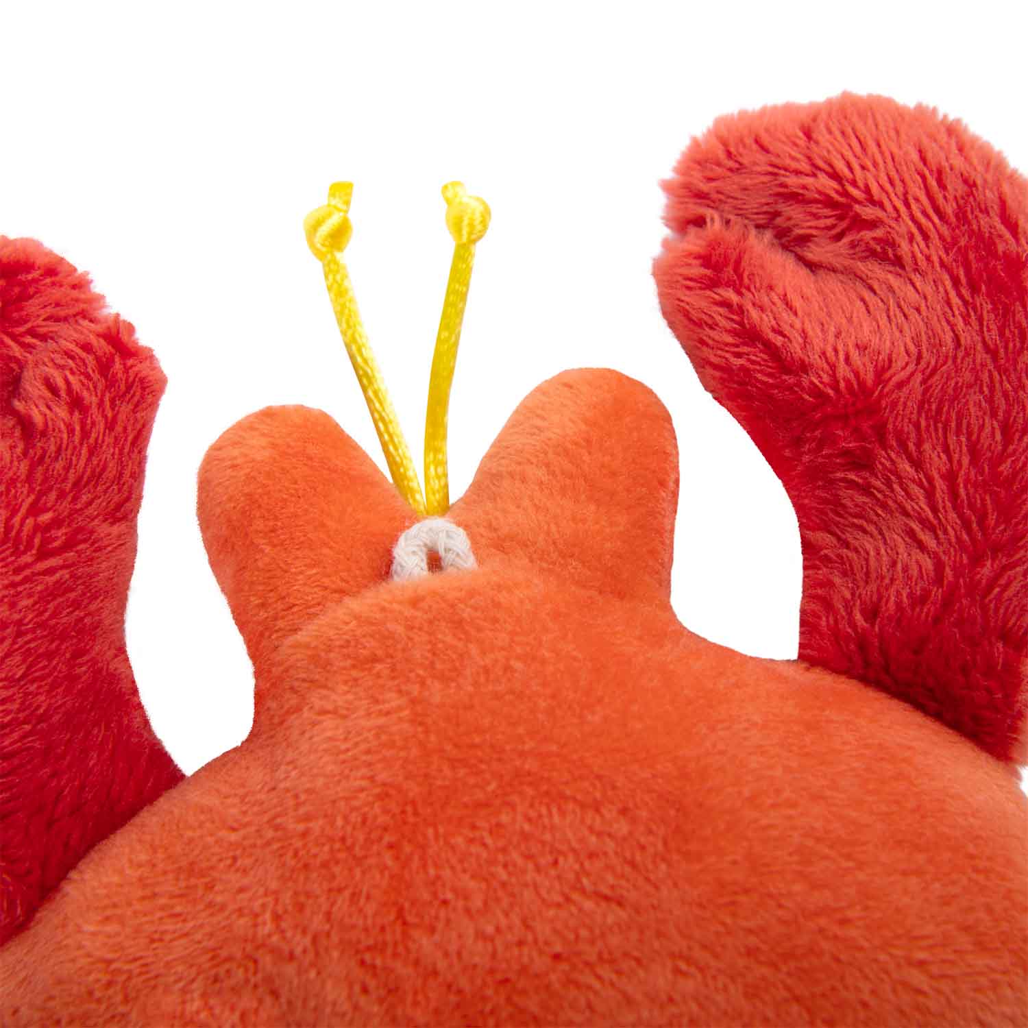 Crab bead rattle, Les Aventures de Paulie