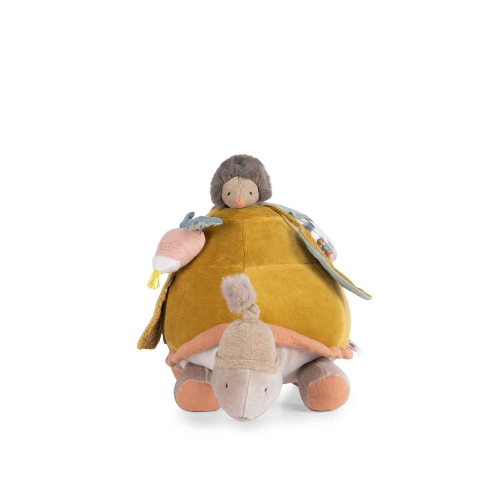 Tartaruga grande di attività