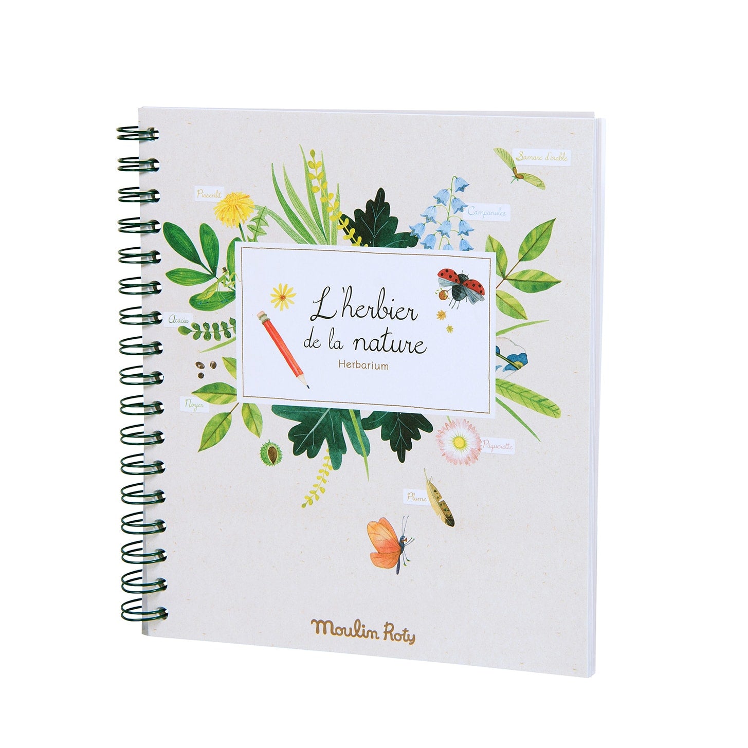 Nature's herbarium for children