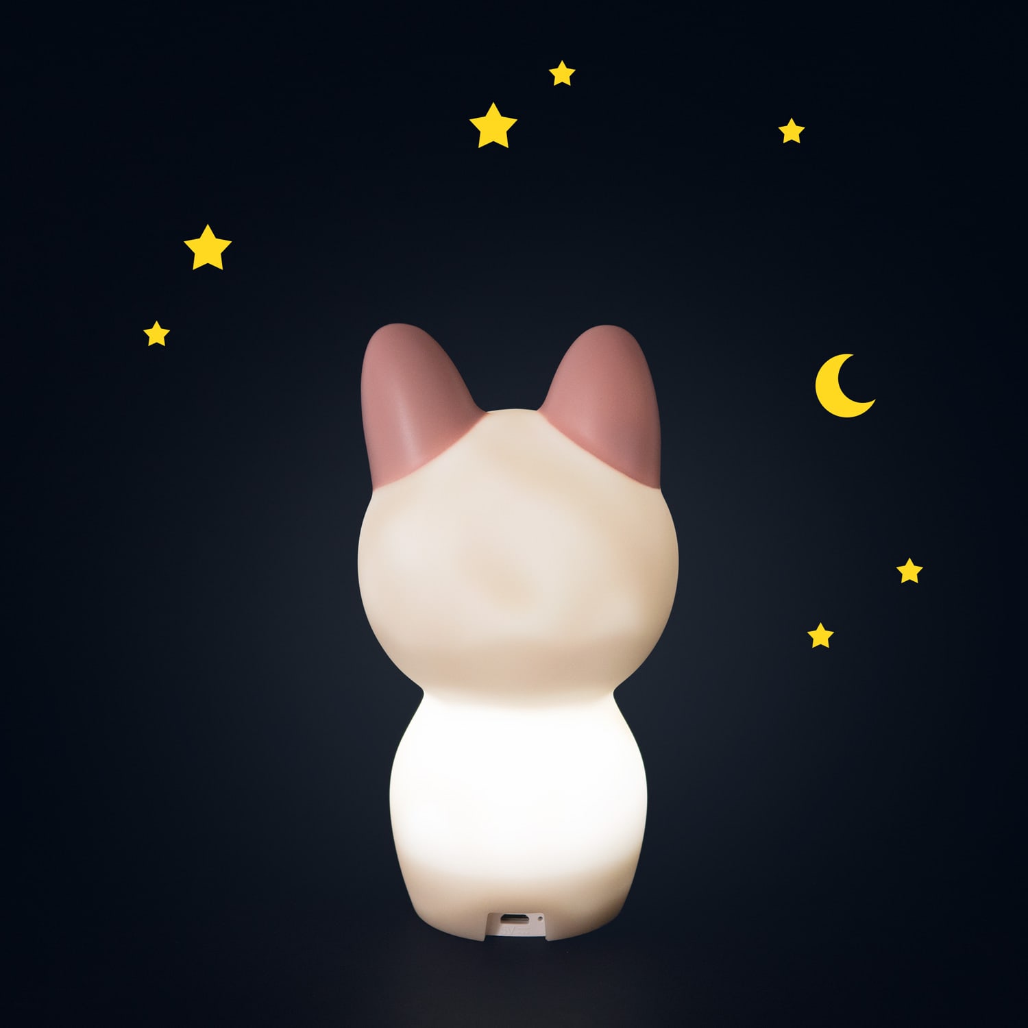 Luce Notturna Ricaricabile Gatto Après la Pluie Moulin Roty 715250