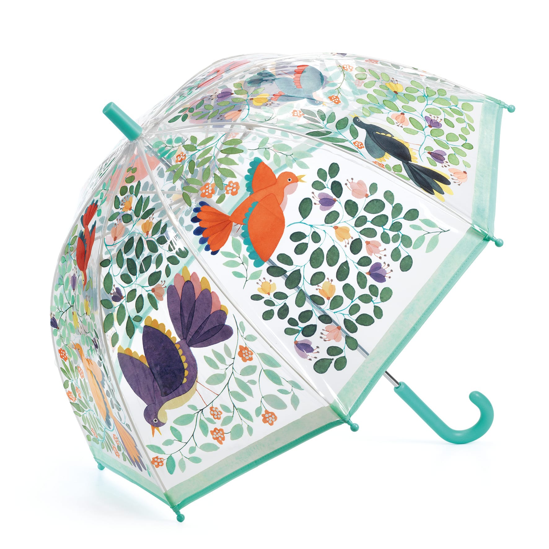 Ombrello Trasparente Verde Acqua Uccelli e Fiori | Djeco DD04804